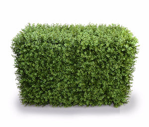Deluxe Portable Buxus Hedges | UV Stabilized | 100cm Long x 55cm High | Artificial Greenery Decor