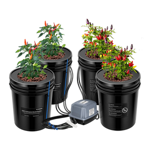 5 Gallon 4-Bucket DWC Hydroponic System Kit | Deep Water Culture + Drip Feed | Complete Recirculating Set with Air Pump, Clay Pebbles & Water Level Indicators