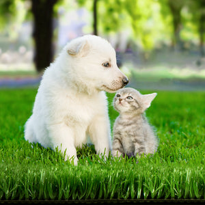 Primeturf Artificial Grass | Synthetic | 20SQM Fake Lawn | 17mm | 1X10M