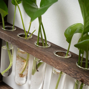 Rustic Hydroponic Plant Wall Hanging Art With Growing Tubes | Various Sizes