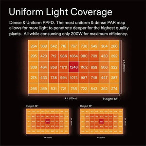 AeroLight Wing Full Spectrum LED Grow Light | 200W | 2 x 4FT Coverage