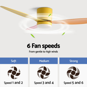 52 Inch Ceiling Fan with Light | 3 Blades | DC Motor | Remote | Multicolour