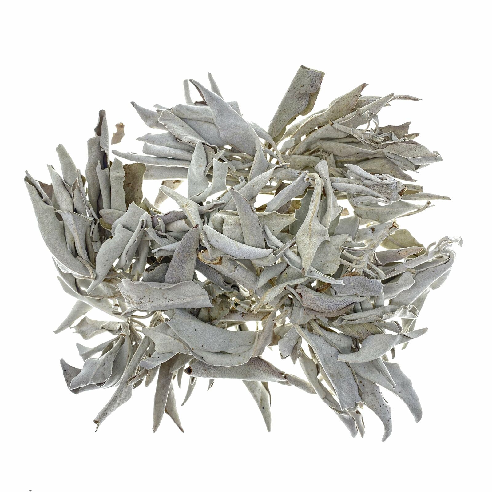 Californian White Sage | Loose Leaf | 30 Grams