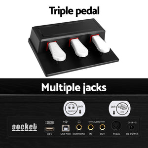 Alpha 88 Keys Digital Piano Keyboard | Electronic | w/ Stand