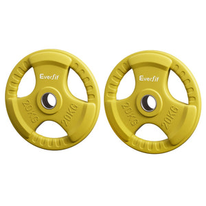 Everfit Weight Plates | Standard 20kgx2 | Dumbbell Barbell Plate | Weight Lifting | Home Gym | Yellow