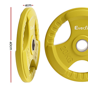 Everfit Weight Plates | Standard 20kgx2 | Dumbbell Barbell Plate | Weight Lifting | Home Gym | Yellow