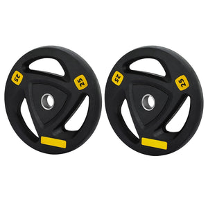 Everfit Weight Plates | Standard 25kgx2 | Dumbbells | Barbells Plate | Weight Lifting | Home Gym