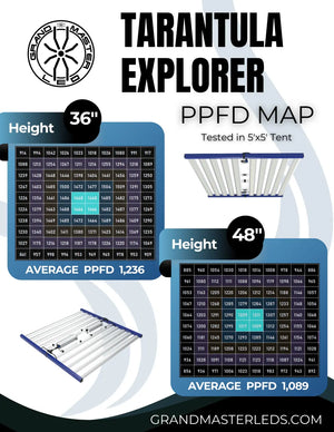 Grand Master LED Tarantula Explorer 1440W | 2-Channel + 730nm | PPF 3845 µmol/s | 2.67 µmol/J | IP66 | 5×5 Flower Footprint
