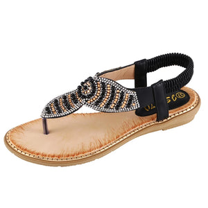 42049105854543|42049105887311|42049105920079|42049105952847|42049105985615|42049106018383|42049106051151