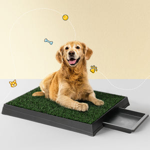 Pet Training Pad | Dog Potty Toilet Large Loo Portable with Tray Grass Mat