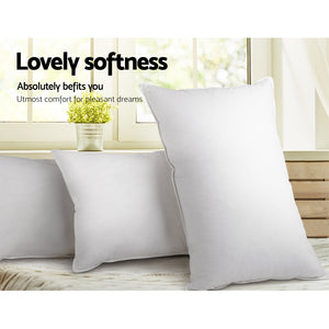 Bedding | Goose Feather Down Pillow | Twin Pack