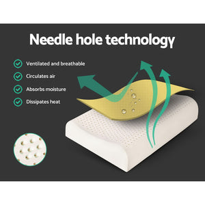 Bedding | Natural Latex Pillow | 2-Zone | Twin Pack