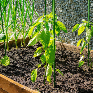 Green Fingers Garden Stakes | Metal Plant Support | 24pcs | 92x1.6cm