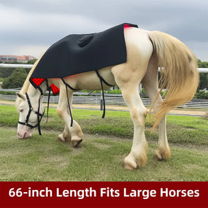 Professional Portable LED Red & Near-Infrared Light Therapy Pad for Horses | 660nm + 850nm Dual Wavelength | Rechargeable & Wireless | Large Coverage Wrap