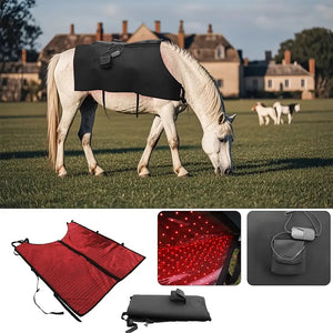 Professional Portable LED Red & Near-Infrared Light Therapy Pad for Horses | 660nm + 850nm Dual Wavelength | Rechargeable & Wireless | Large Coverage Wrap