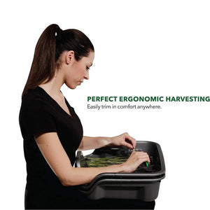 Black Lap Trim Tray Bin Set With 150 Micron Screen + Replaceable Sieve