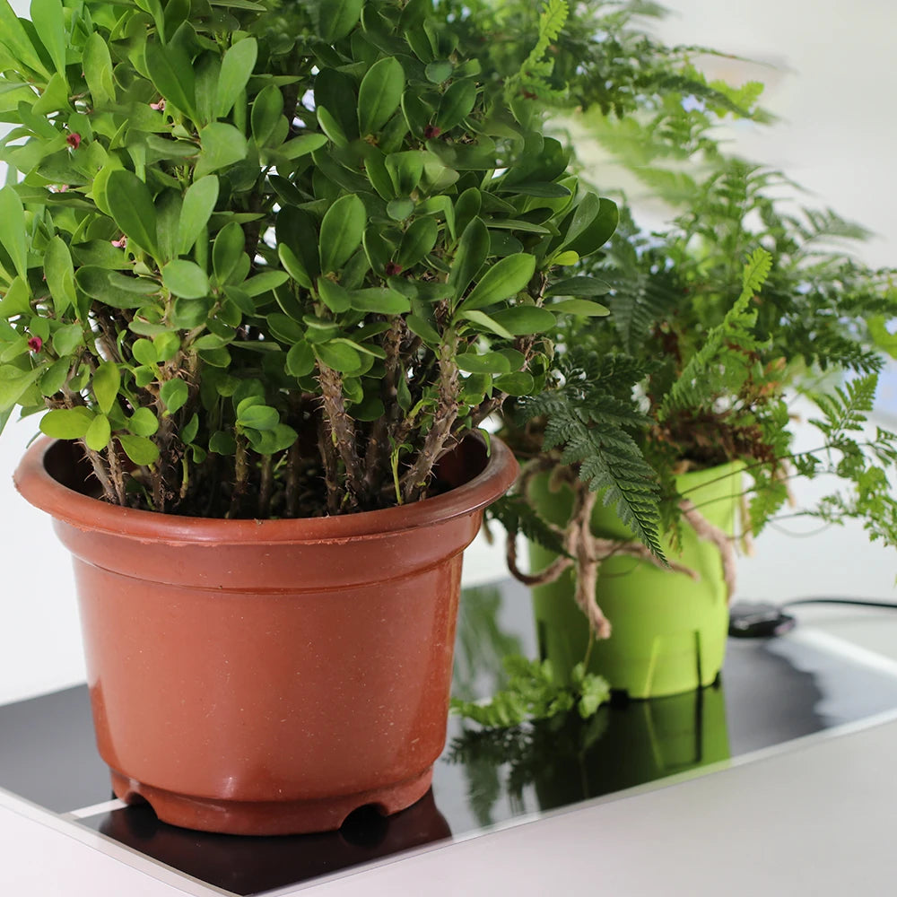 Seedling Heating Mats | Adjustable Temperature - 0-40 Degrees | Various Sizes