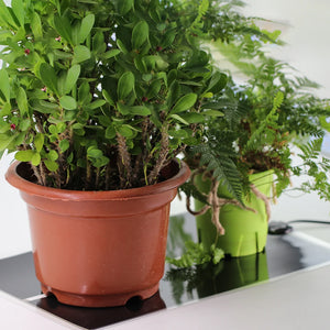 Seedling Heating Mats | Adjustable Temperature - 0-40 Degrees | Various Sizes