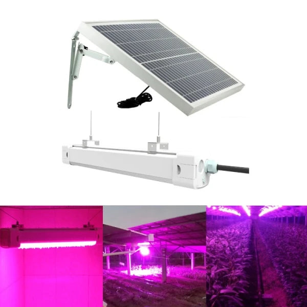 Solar Powered LED Grow Light | Full Spectrum