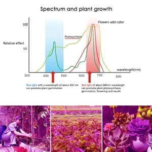 Solar Powered LED Grow Light | Full Spectrum