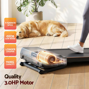 Everfit 3 in 1 Walking Pad Treadmill 20% Auto Incline Under Desk Treadmills for Home Gym With 40cm Wide Belt