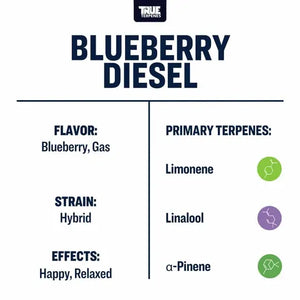 True Terpenes Blueberry Diesel 5mL | Hybrid Terpene Blend with Fruity & Gassy Notes