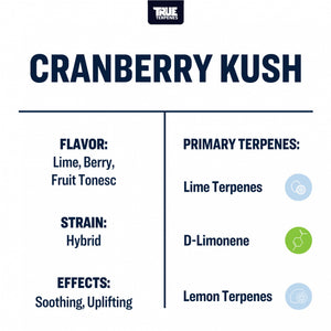 True Terpenes Cranberry Kush 5mL | Tart Berry Hybrid Terpene Blend with Lime & Herbal Fruit Notes