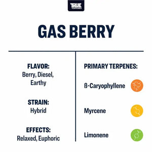 True Terpenes Gas Berry 5mL | Hybrid Terpene Blend with Diesel, Berry & Hemp Notes