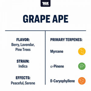 True Terpenes Grape Ape 240mL | Calming Indica Terpene with Grape, Earthy Pine & Floral Lavender