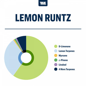 True Terpenes Lemon Runtz 5mL | Uplifting Lemon Hybrid Terpene with Pine & Lavender for Calm Focus