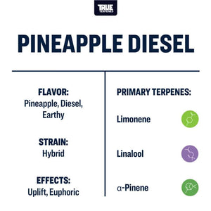 True Terpenes Pineapple Diesel 5mL | Hybrid Terpene Blend with Tropical & Gassy Notes