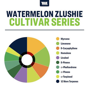 True Terpenes Watermelon Zlushie 5mL | Indica Terpene Blend with Kush, Pine & Melon