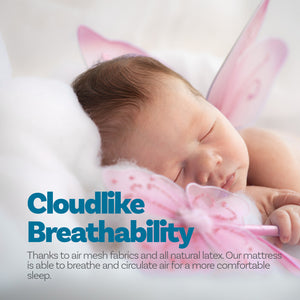 Eco Lux Euro Top 7-Zone Pocket Spring Mattress | Plush Edge Support | Medium Firm | Queen