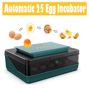 Digital LED Fully Automatic | 25 Egg Incubator | Hatch Turning Chicken Eggs | Poultry