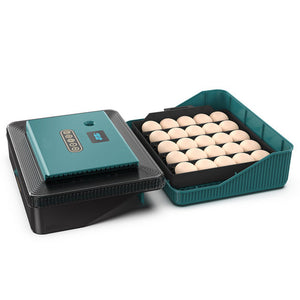 Digital LED Fully Automatic | 25 Egg Incubator | Hatch Turning Chicken Eggs | Poultry