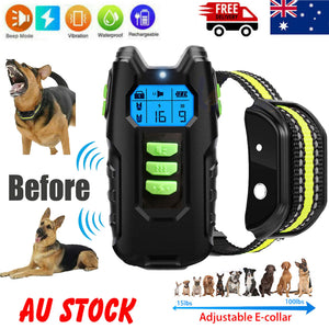Electric Pet Dog Training Anti-Bark Collar | Sound & Vibration | Auto Rechargeable