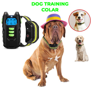 Electric Pet Dog Training Anti-Bark Collar | Sound & Vibration | Auto Rechargeable