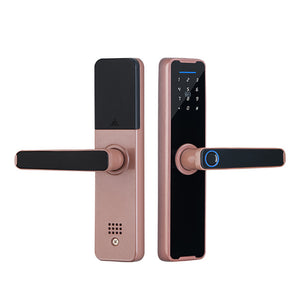 Tuya Home WIFI Smart Door Lock | Biometric Fingerprint | Smart Card Password | USB Key