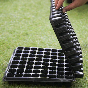 12x 72 Hole Plant Seed Grow Box Insert | Nursery Propagation Tray | Seedling Starter