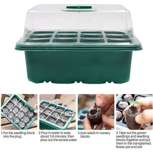 10 Set 12-Hole Plant Seed Grow Box | Propagation Nursery Seedling Starter Tray
