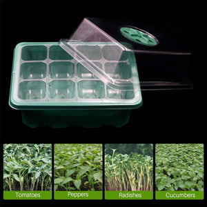 10 Set 12-Hole Plant Seed Grow Box | Propagation Nursery Seedling Starter Tray