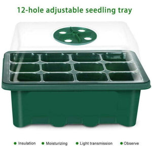 10 Set 12-Hole Plant Seed Grow Box | Propagation Nursery Seedling Starter Tray
