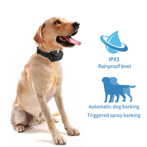 Dog Citronella Anti-Bark Collar | Rechargeable | Humane Training | Stop Barking