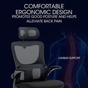 FORTIA Ergonomic Office Chair | Lumbar Support | Mesh Fabric | Adjustable Headrest & Retractable Armrests | Black
