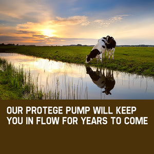 1HP Submersible Bore Water Pump Deep Well Irrigation Stainless Steel 240V