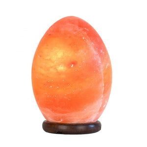 12V 12W Egg Himalayan Pink Salt Lamp | Carved Rock Crystal Light with On/Off Switch