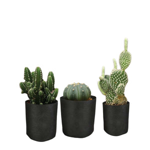 Fabric Flower Pots | 6 Pack | 1 Gallon | 3.8L | Garden Planter Bags | Black Felt Root Pouch