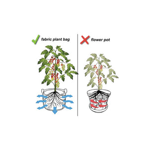 Fabric Flower Pots | 6 Pack | 1 Gallon | 3.8L | Garden Planter Bags | Black Felt Root Pouch