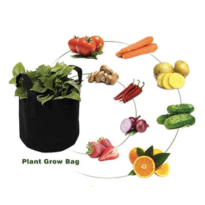 Fabric Flower Pots | 6 Pack | 10 Gallon | 38L | Garden Planter Bags | Black Felt Root Pouch