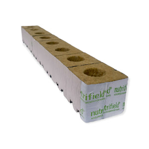 Stonewool Planting Propagation Growing Assist Block | 75x75x65mm | 8 Pack | Nutrifield